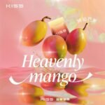 KIS5鎧斯一代煙彈（一組三顆）：圖片 2