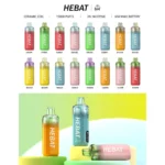 Hebat喜貝拋棄式15000口